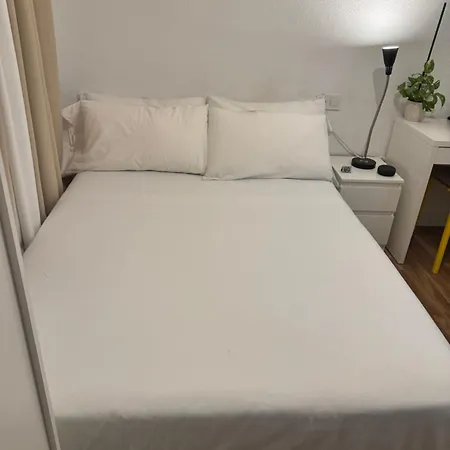 Sencilla En Piso Hogareno Valencia